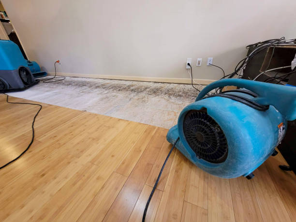 Professional Emergency Water Damage technician working in Renton, WA